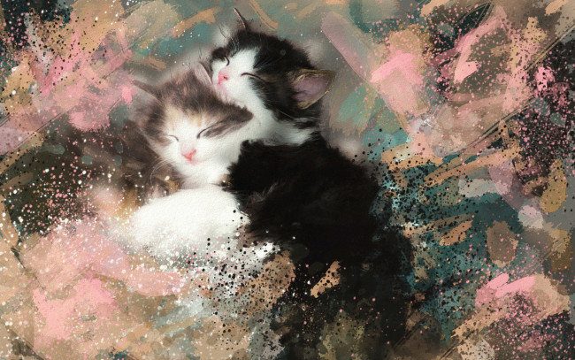 Обои картинки фото рисованное, животные,  коты, мазки, акварель, картина, черно-белые, пушистые, спят, котята