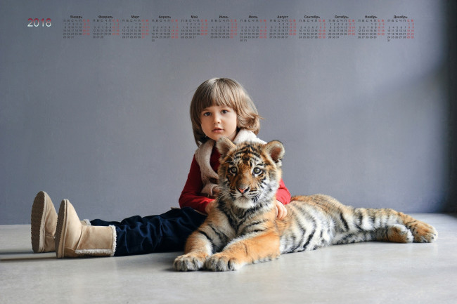 Обои картинки фото календари, дети, детеныш, взгляд, тигренок, ребенок
