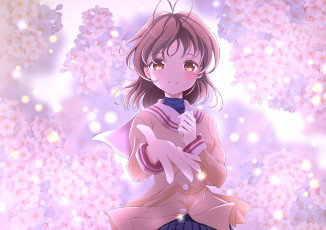 обоя аниме, clannad