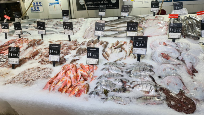 Обои картинки фото еда, рыба,  морепродукты,  суши,  роллы, лед, свежая, ценники, прилавок
