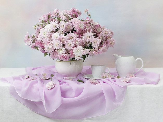 Обои картинки фото nikonchuk, dasha, утро, розовом, цветы, астры