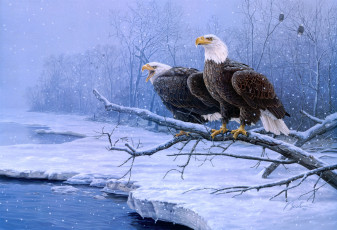 Картинка the gathering place рисованные darrell bush зима белоголовый орел орлы птицы