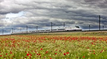 обоя техника, поезда, цветы, скоростной, поезд, поле