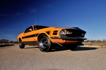 Картинка ford+mustang+mach+1+428+super+cobra+jet+twister+special автомобили mustang