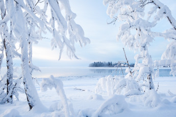 Картинка природа зима деревья озеро снег