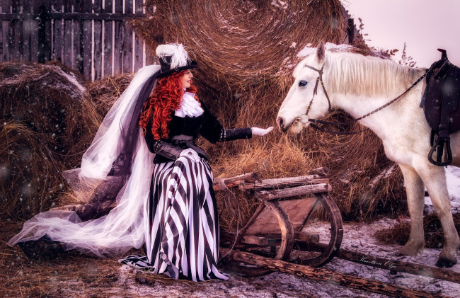 Обои картинки фото девушки, -unsort , креатив, вуаль, дама, сено, лошадь, снег, конь, девушка, волосы, рыжая, шляпа, наряд, барышня