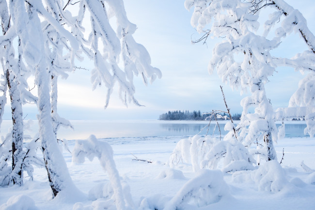 Обои картинки фото природа, зима, деревья, озеро, снег