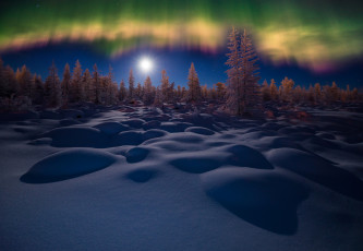 Картинка природа северное+сияние деревья снег зима