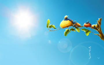 Картинка рисованное животные +птицы птицы солнце небо ветка