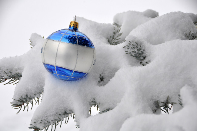 Обои картинки фото праздничные, шары, шар, ветки, синий, ель, снег