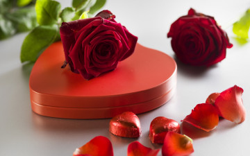 Картинка праздничные день+святого+валентина +сердечки +любовь красные розы valentine`s day love шоколад roses romantic gift сердечки конфеты heart red