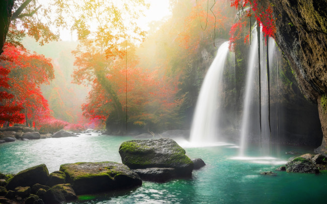 Обои картинки фото природа, водопады, деревья, nature, вода, autumn, камни, каскад, river, forest, водопад, waterfall, лес, река, осень, beautiful