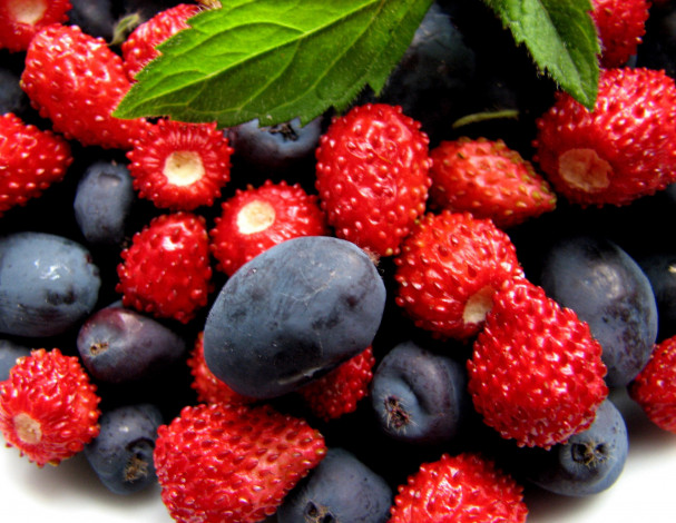 Обои картинки фото еда, фрукты,  ягоды, земляника, черника