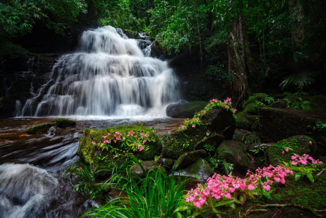 Обои картинки фото mun daeng waterfall, phu hin rong kla national park, thailand, природа, водопады, mun, daeng, waterfall, phu, hin, rong, kla, national, park