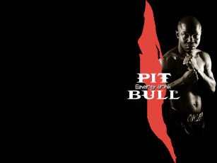 Картинка бренды pitbull