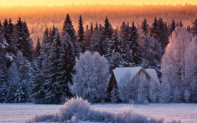 Обои картинки фото природа, зима