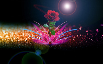 Картинка разное компьютерный дизайн сердечко роза
