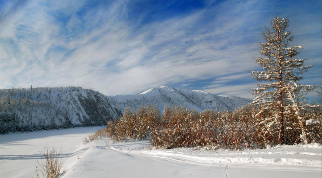 Обои картинки фото природа, зима, пейзаж, снег, небо