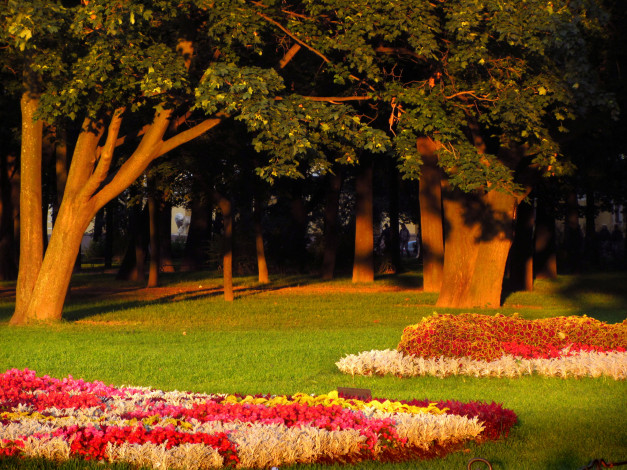 Обои картинки фото санкт, петербург, природа, парк, деревья, цветы