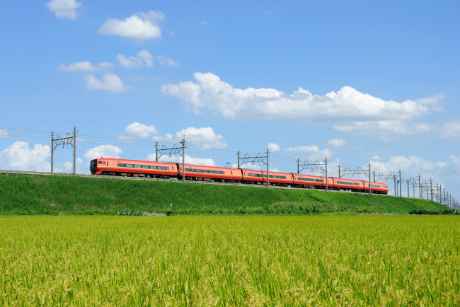 Обои картинки фото техника, поезда, поле, поезд