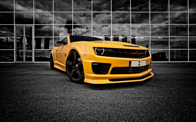 Обои картинки фото автомобили, camaro, bee, yellow