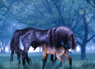 Картинка 3д+графика животные+ animals природа лошадка лошадь