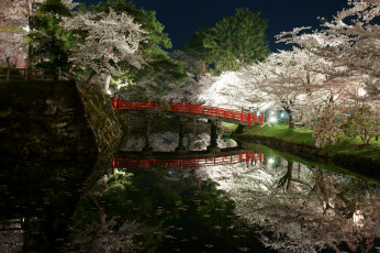 Картинка природа парк деревья сад япония мост водоем свет ночь весна цветы