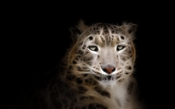 Картинка 3д+графика животные+ animals леопард фон взгляд