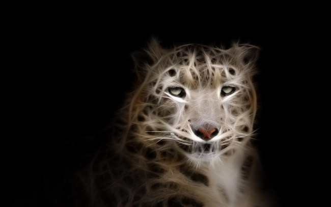 Обои картинки фото 3д графика, животные , animals, леопард, фон, взгляд