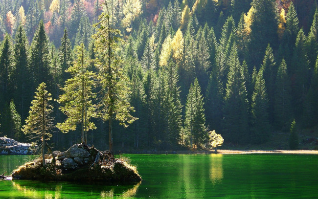 Обои картинки фото природа, реки, озера, склон, лес, озеро, деревья, скала, остров