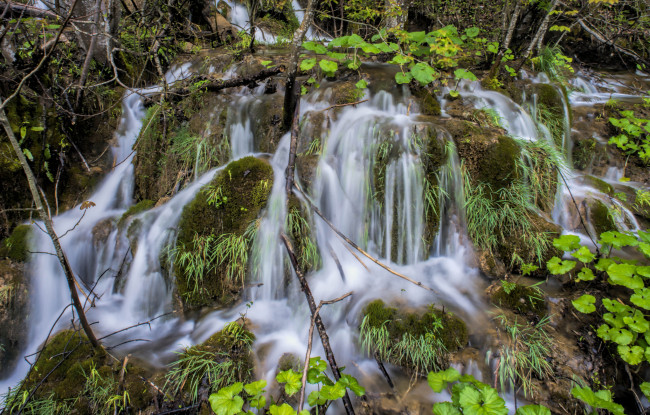 Обои картинки фото природа, водопады, водопад, река, лес