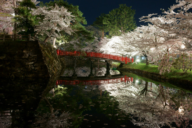 Обои картинки фото природа, парк, деревья, сад, япония, мост, водоем, свет, ночь, весна, цветы