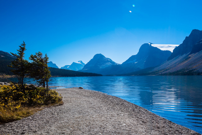 Обои картинки фото природа, реки, озера, горы, озеро, канада, деревья, альберта, bow, lake