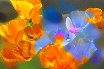 Картинка разное компьютерный+дизайн лепестки линии краски цветы рендеринг маки