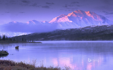 Картинка природа реки озера лось озеро горы небо сша аляска
