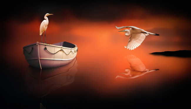 Обои картинки фото разное, компьютерный дизайн, птицы, отражение, лодка