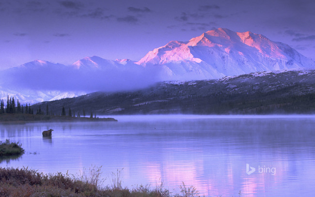 Обои картинки фото природа, реки, озера, лось, озеро, горы, небо, сша, аляска