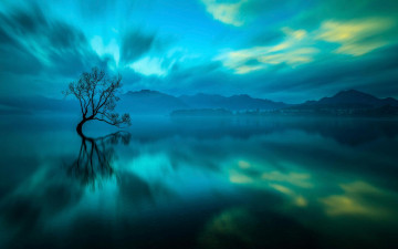 Картинка природа реки озера дерево озеро