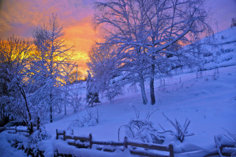 Картинка природа зима деревья закат снег pascal laurent вечер