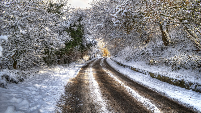 Обои картинки фото природа, дороги, hdr, trees, снег, зима, дорога, деревья, winter