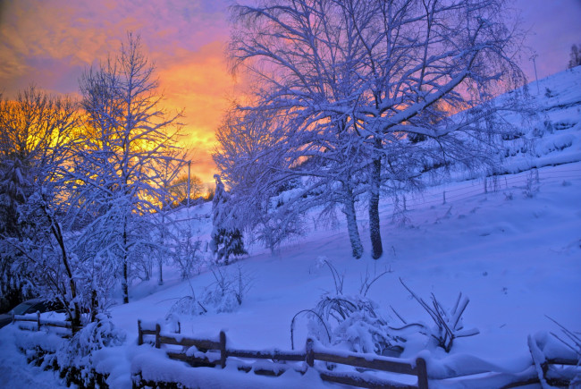 Обои картинки фото природа, зима, деревья, закат, снег, pascal, laurent, вечер