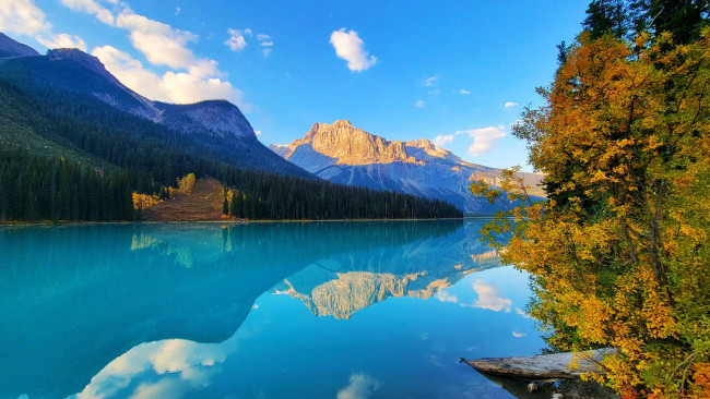 Обои картинки фото emerald lake, yoho np, british columbia, природа, реки, озера, emerald, lake, yoho, np, british, columbia