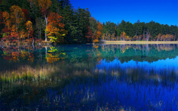 Картинка природа реки озера осень лес озеро трава отражение