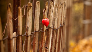 Картинка праздничные день+святого+валентина +сердечки +любовь свет забор сердце
