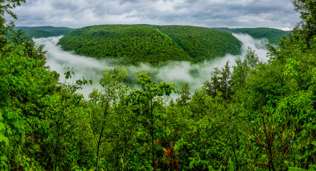 Обои картинки фото grand canyon of pennsylvania, природа, лес, туман, леса, каньон, pine creek gorge, pennsylvania, большой каньон пенсильвании, гранд-каньон, пенсильвания, ущелье