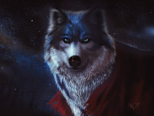 Картинка 3д+графика животные+ animals волк взгляд животное хищник