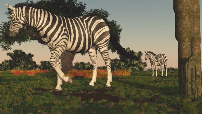 Обои картинки фото 3д графика, животные , animals, зебра
