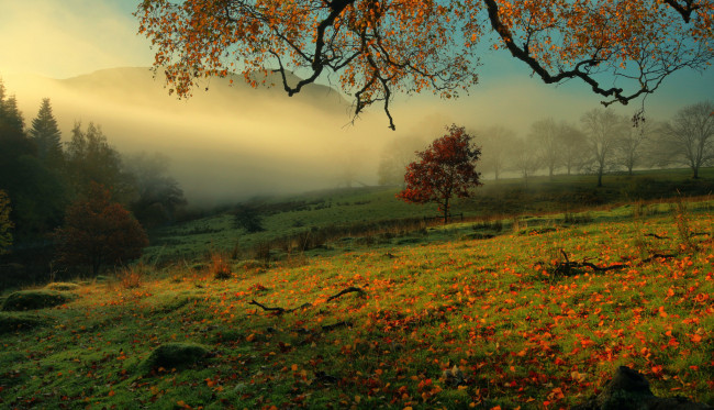 Обои картинки фото природа, пейзажи, туман, утро