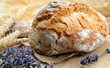 Картинка еда хлеб +выпечка лаванда колосья