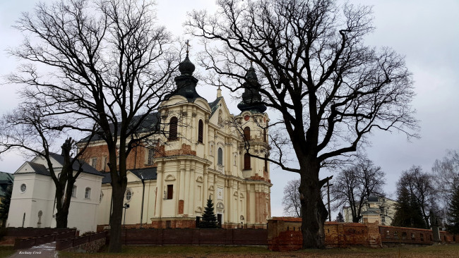 Обои картинки фото города, - католические соборы,  костелы,  аббатства, костел, деревья